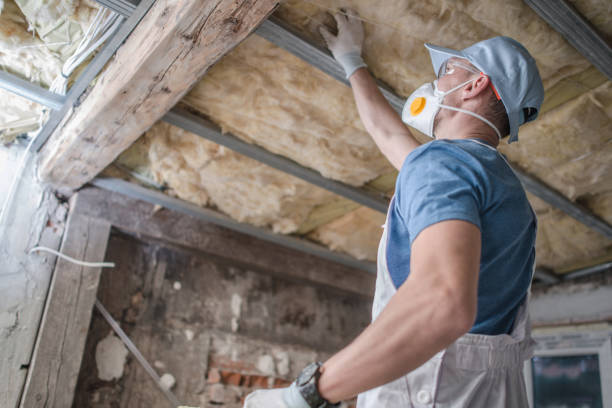 Best Specialized Insulation Services in Derry, PA